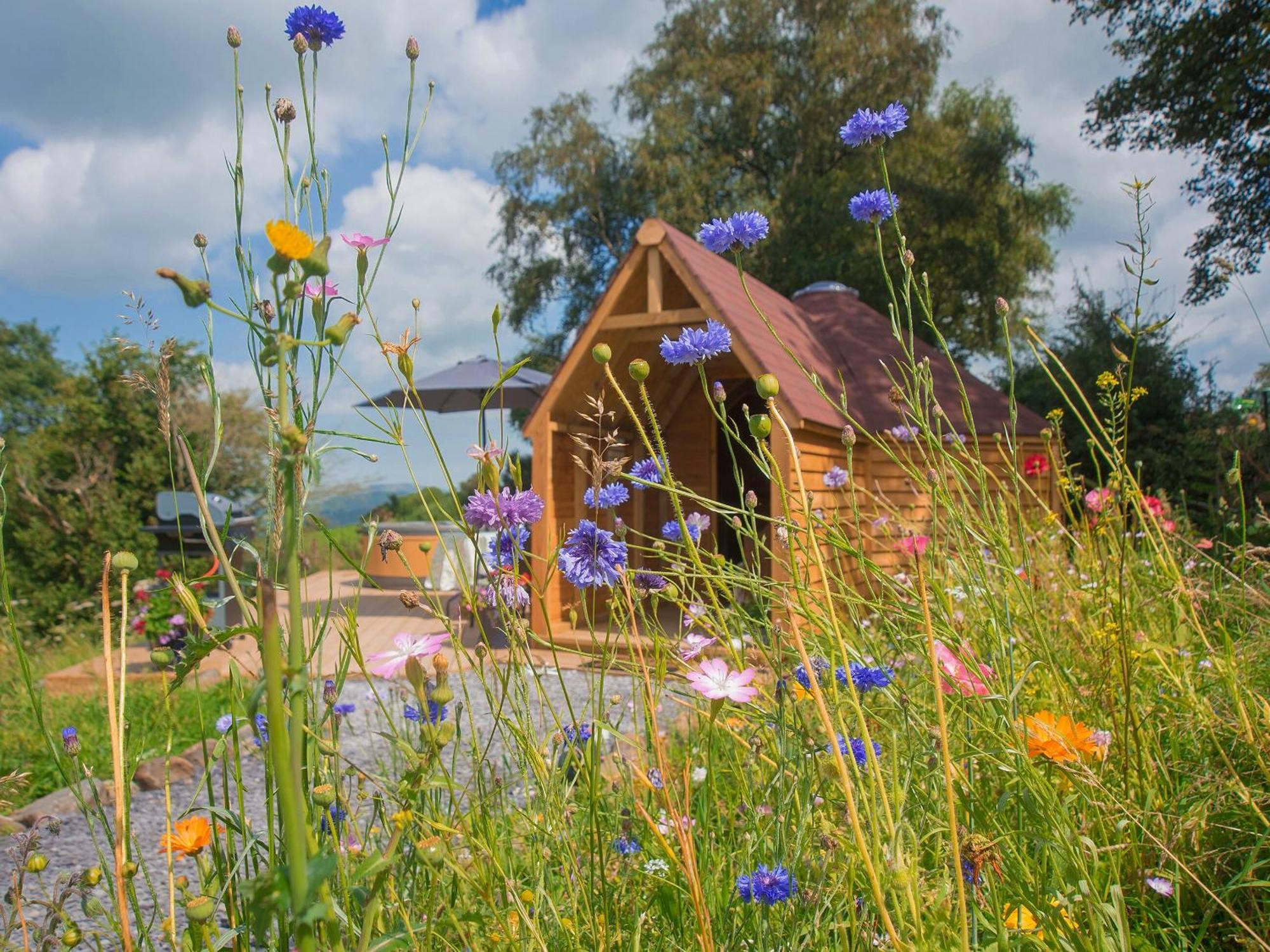 Villa Dol Y Mynydd The Mountain Meadow-Qu7521 à Llangerniew Extérieur photo